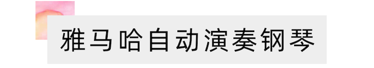 活动报道 | 远程艺术教育大师课活动——利来囯际特邀艺术家张奕明大师课